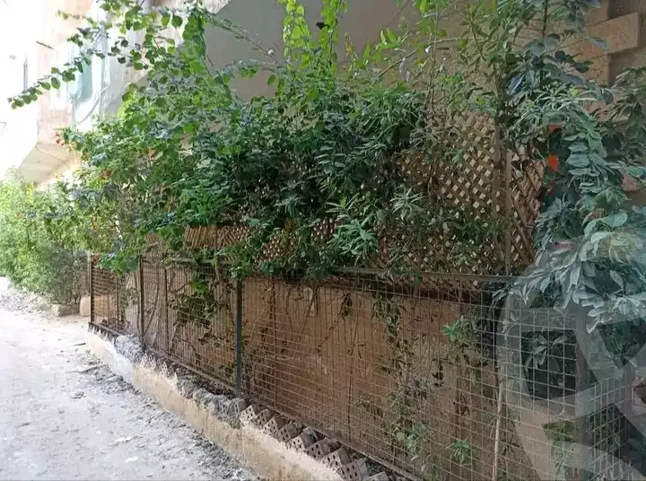 https://aqarmap.com.eg/en/listing/6012381-for-rent-alexandria-l-jmy-lbytsh-bianchiii