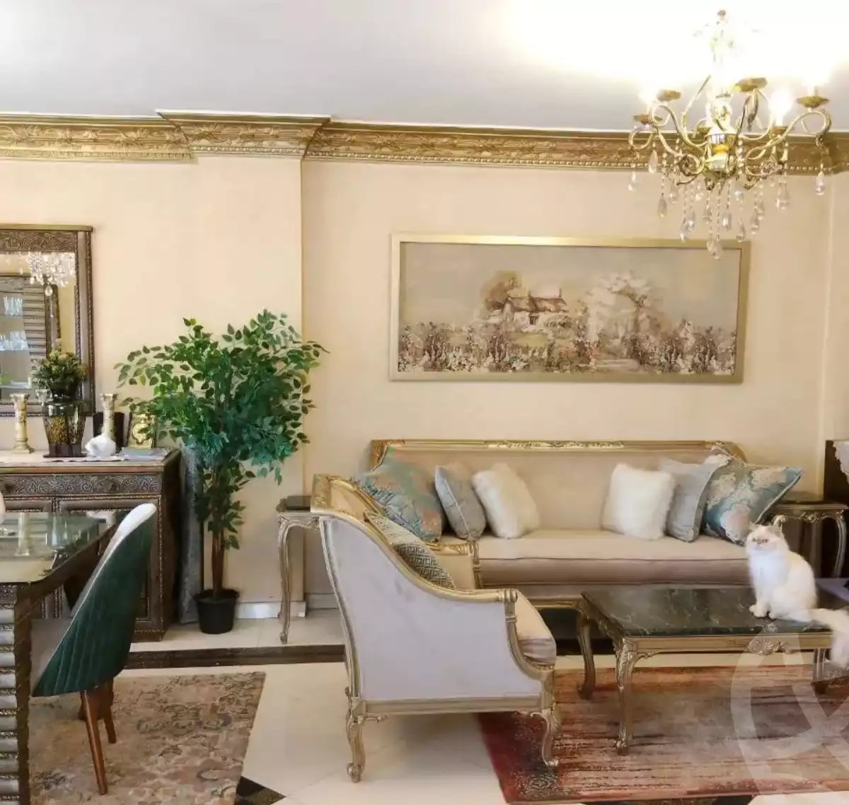 https://aqarmap.com.eg/ar/listing/6015954-for-sale-cairo-mokattam-lhdb-l-ly-shareaa-9