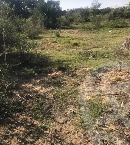 https://aqarmap.com.eg/ar/listing/6021134-for-sale-ismailia-fayed-fayad-al-gadida-st