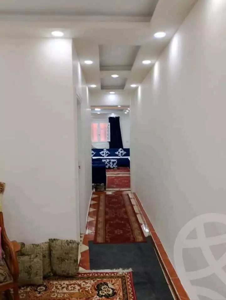 https://aqarmap.com.eg/en/listing/6022347-for-sale-alexandria-l-jmy-lbytsh-al-samalehy-1-st