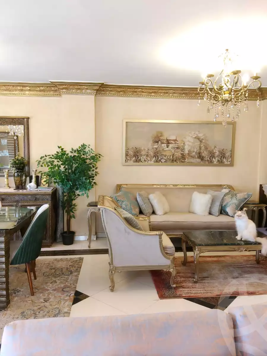 https://aqarmap.com.eg/ar/listing/6025075-for-sale-cairo-mokattam-lhdb-l-ly-shareaa-9