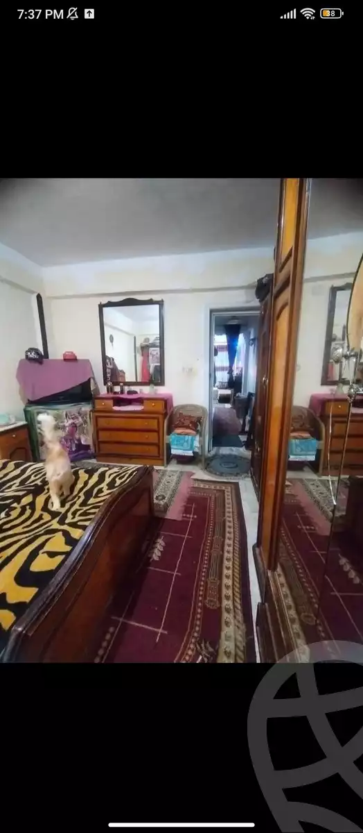 https://aqarmap.com.eg/en/listing/6026736-for-sale-alexandria-l-jmy-lbytsh-el-hay-st