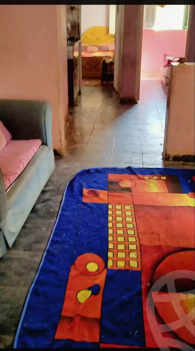 https://aqarmap.com.eg/en/listing/6034313-for-sale-cairo-ain-shams-ain-shams-el-sharkia-mostafa-nassar-st