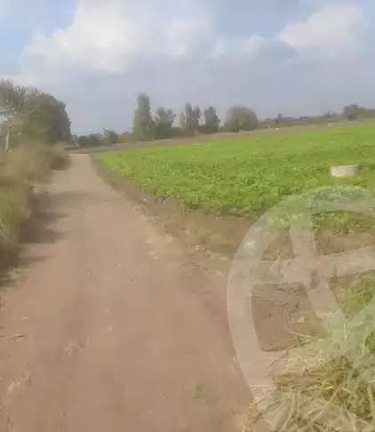 https://aqarmap.com.eg/ar/listing/6037427-for-sale-gharbia-tanta-tanta-city