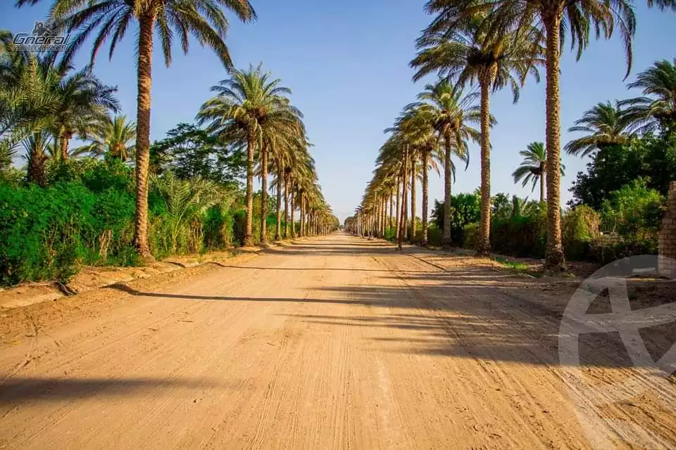 https://aqarmap.com.eg/en/listing/5944560-for-sale-el-fayoum-fayoum-fayoum-city