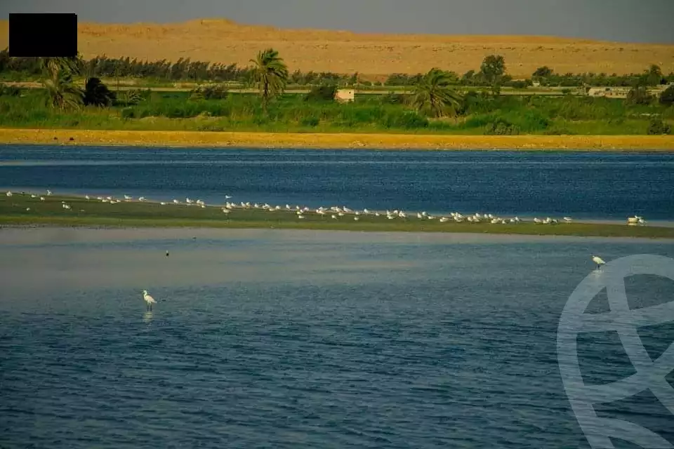 https://aqarmap.com.eg/en/listing/5944560-for-sale-el-fayoum-fayoum-fayoum-city