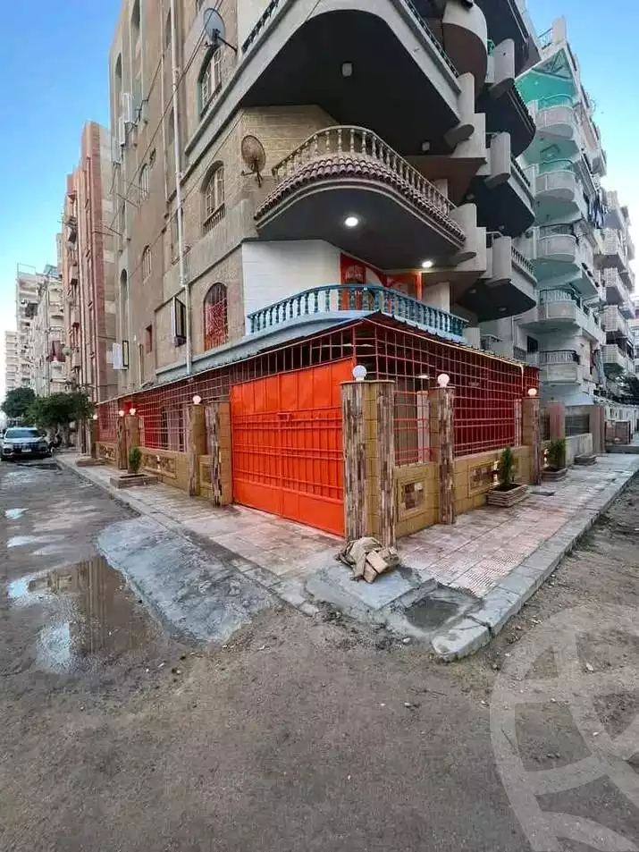 https://aqarmap.com.eg/en/listing/6037543-for-sale-alexandria-l-jmy-shataa-el-nakheel