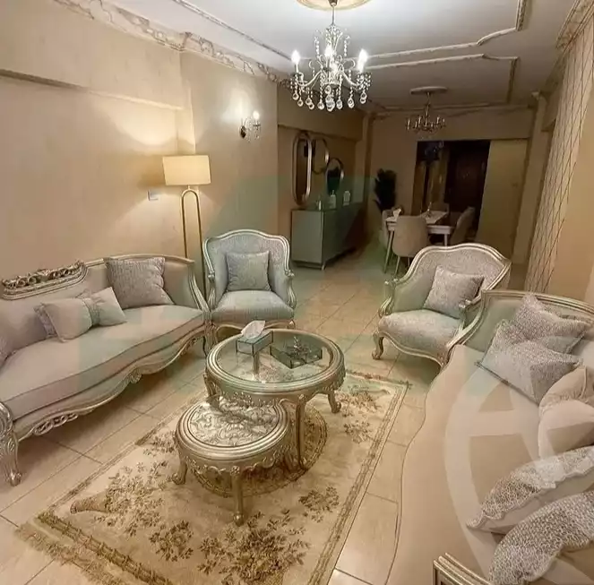 https://aqarmap.com.eg/ar/listing/6038002-for-sale-alexandria-ganaklis