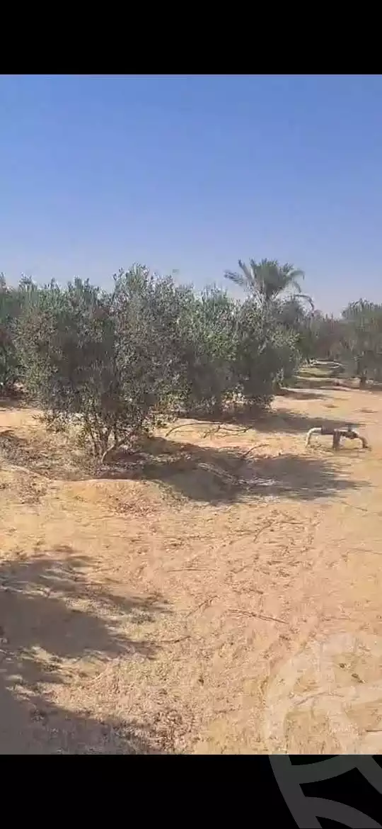 https://aqarmap.com.eg/en/listing/6038381-for-sale-ismailia-ismailia-city-ismailia-city