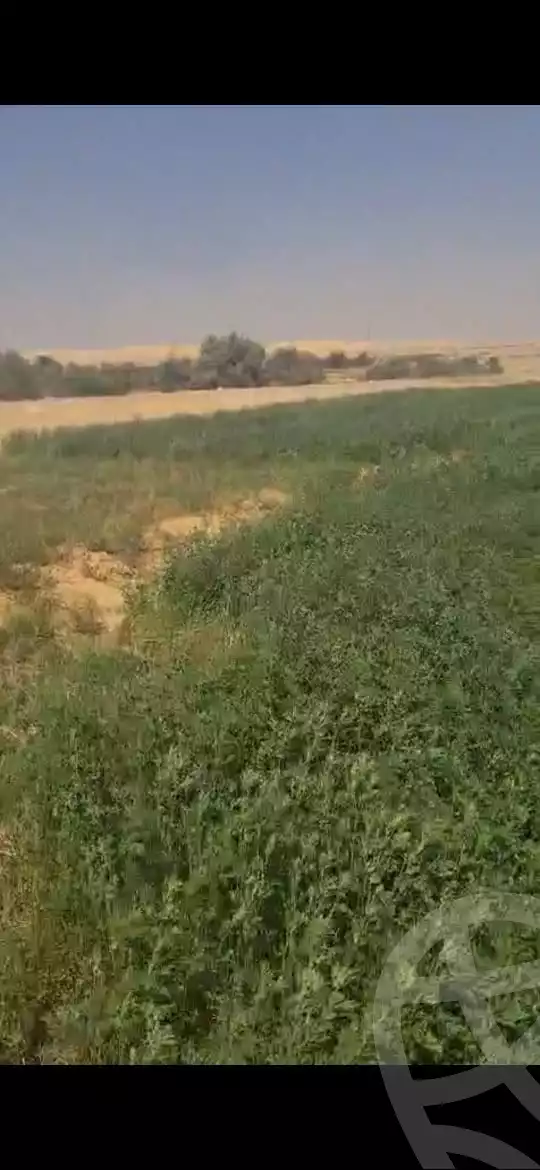 https://aqarmap.com.eg/en/listing/6038381-for-sale-ismailia-ismailia-city-ismailia-city