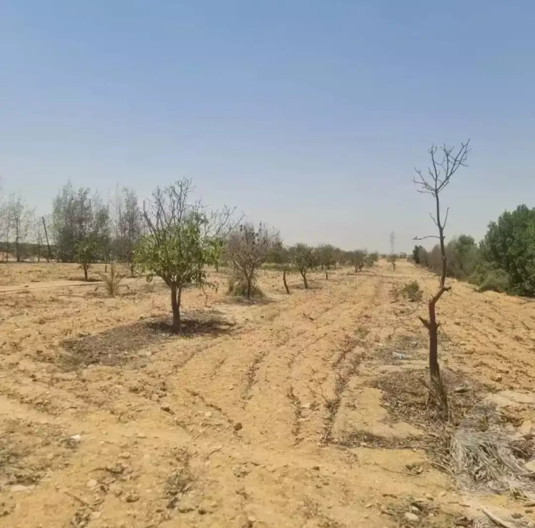 https://aqarmap.com.eg/en/listing/6044599-for-sale-gharbia-tanta