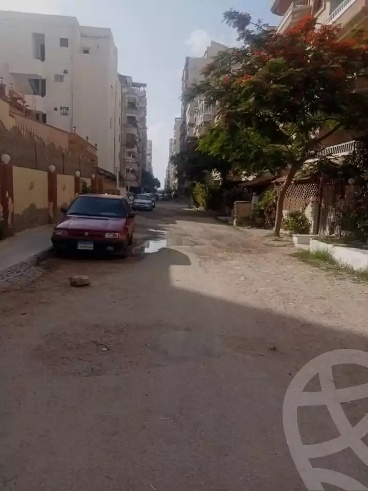 https://aqarmap.com.eg/en/listing/6045763-for-sale-alexandria-l-jmy-shataa-el-nakheel
