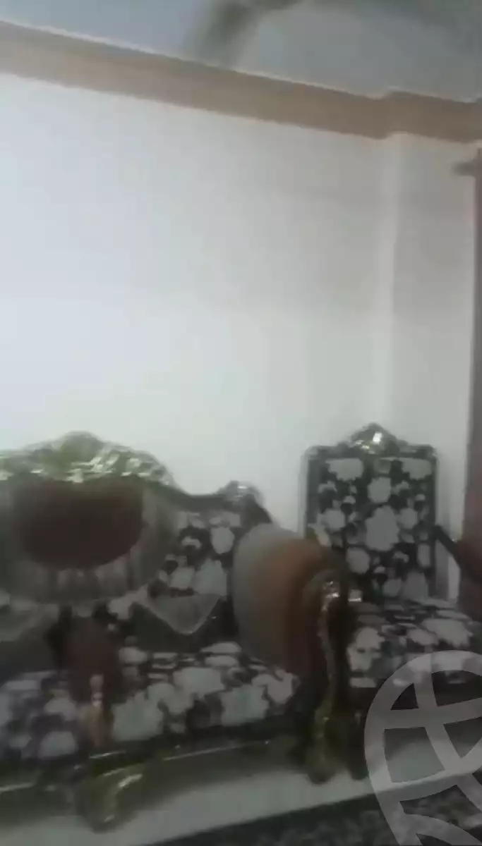 https://aqarmap.com.eg/en/listing/6047027-for-sale-cairo-faisal-el-taweaan-hassanein-othman-st