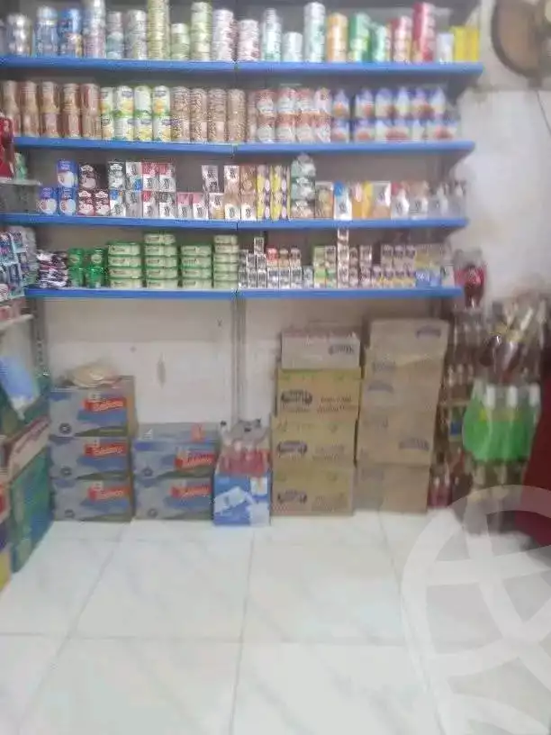 https://aqarmap.com.eg/en/listing/6047681-for-rent-cairo-faisal