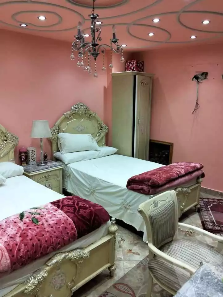 https://aqarmap.com.eg/en/listing/6048824-for-sale-cairo-faisal-el-lebeny