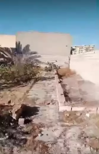 https://aqarmap.com.eg/en/listing/6049991-for-sale-alexandria-l-jmy-bw-ywsf