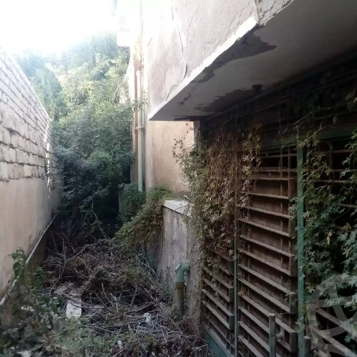 https://aqarmap.com.eg/en/listing/6050843-for-sale-alexandria-l-jmy-lbytsh