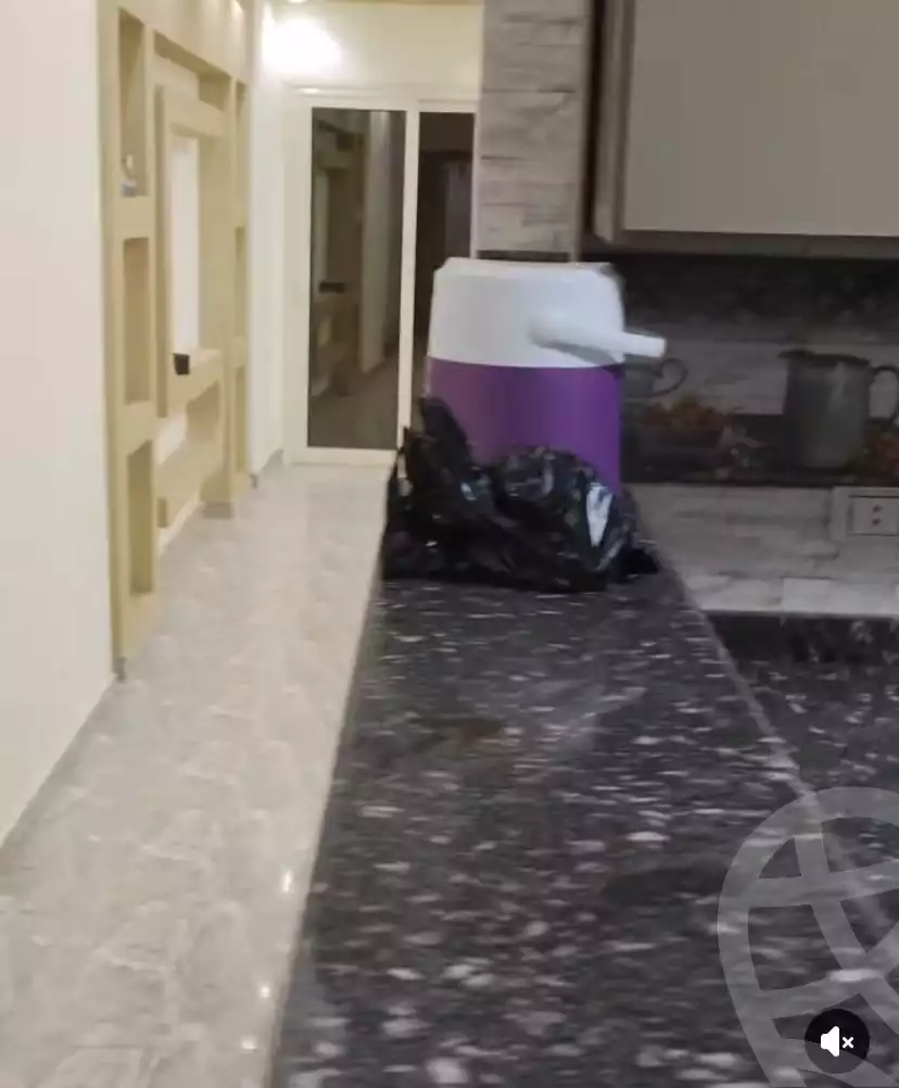 https://aqarmap.com.eg/en/listing/6051167-for-rent-cairo-faisal-el-matbeaa-amr-ibn-al-aas-st