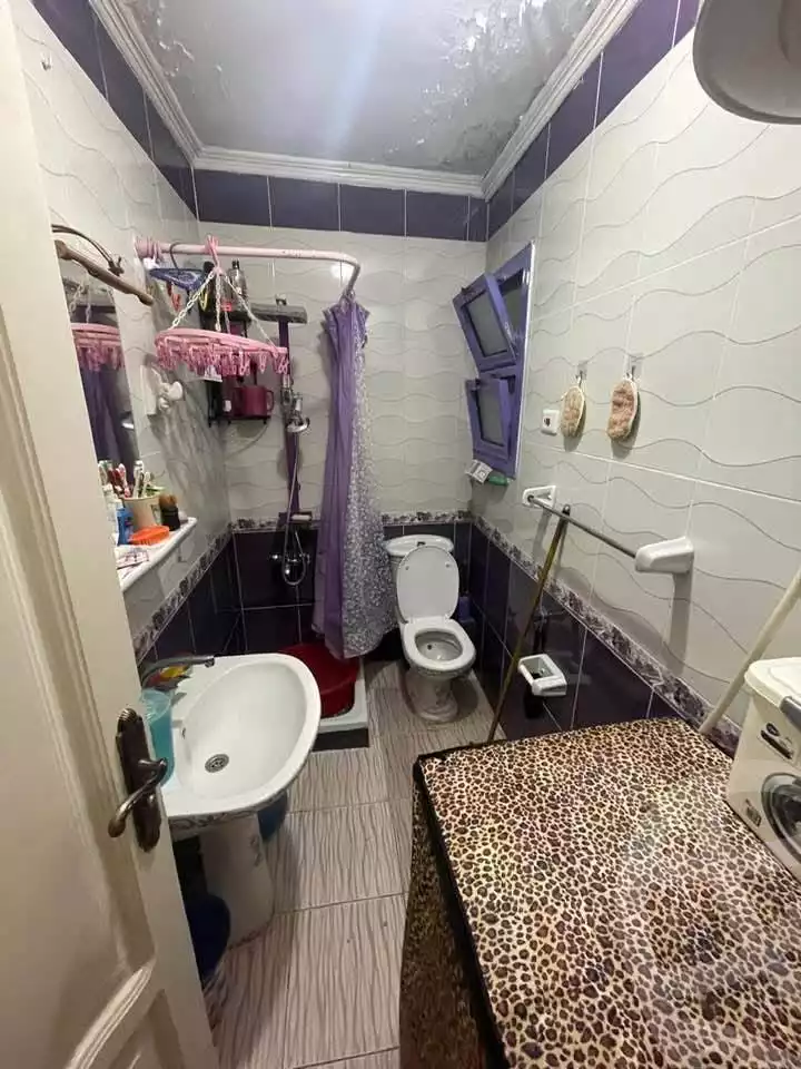 https://aqarmap.com.eg/en/listing/6051657-for-sale-alexandria-l-jmy-lbytsh-al-aeda-al-kadema-st