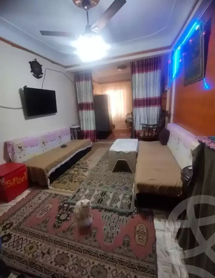 https://aqarmap.com.eg/en/listing/6056306-for-sale-alexandria-l-jmy-lbytsh-el-hay-st