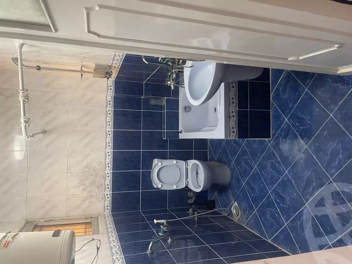 https://aqarmap.com.eg/en/listing/6056617-for-rent-cairo-old-cairo-nile-corniche-st
