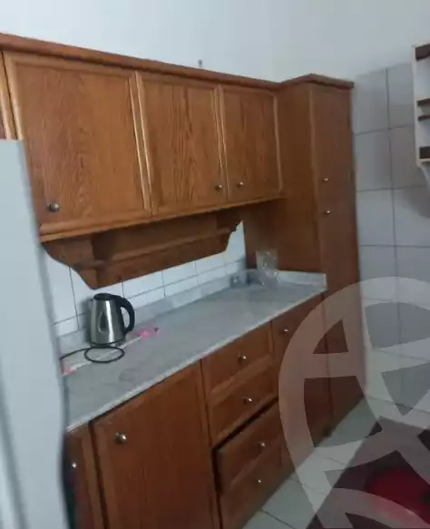 https://aqarmap.com.eg/en/listing/6057898-for-rent-cairo-al-zamalek