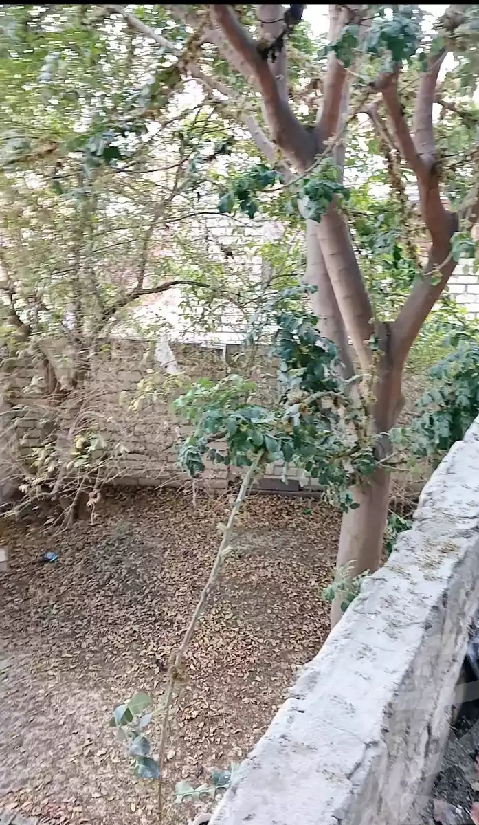 https://aqarmap.com.eg/en/listing/6058191-for-sale-alexandria-l-jmy-bw-ywsf