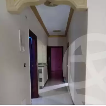 https://aqarmap.com.eg/en/listing/6059450-for-rent-sharqia-zagazig-zagazig-city-ghasham-rd