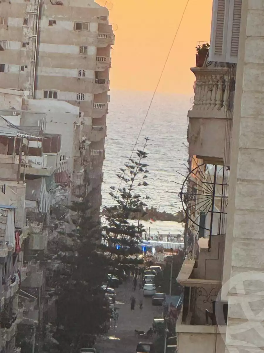 https://aqarmap.com.eg/en/listing/6063903-for-sale-alexandria-l-jmy-shataa-el-nakheel