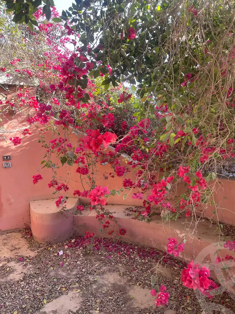 https://aqarmap.com.eg/en/listing/6068843-for-sale-cairo-6th-of-october-green-belt-wadi-el-nile