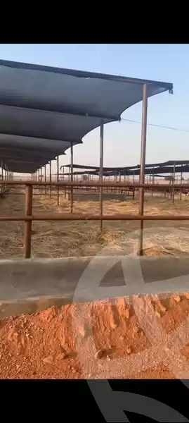 https://aqarmap.com.eg/en/listing/6068848-for-sale-ismailia-ismailia-city-ismailia-city