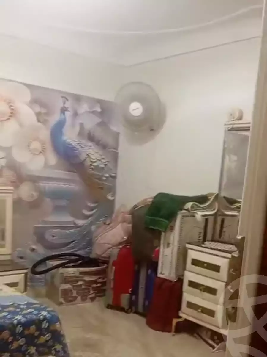https://aqarmap.com.eg/en/listing/6070675-for-sale-alexandria-l-jmy-bw-ywsf-hosni-mubarak-st