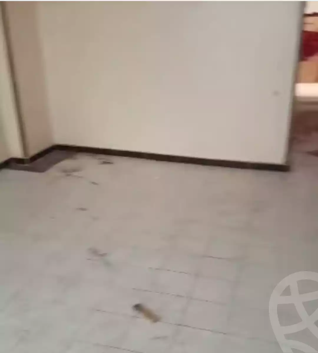 https://aqarmap.com.eg/ar/listing/6071305-for-sale-alexandria-l-jmy-faddah-st