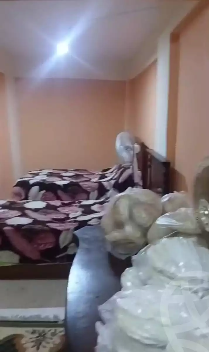 https://aqarmap.com.eg/en/listing/6071818-for-sale-alexandria-l-jmy-el-hanouvel
