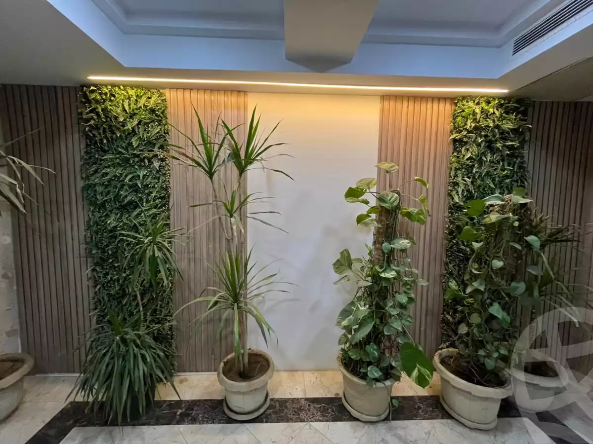 https://aqarmap.com.eg/ar/listing/6072705-for-rent-cairo-new-cairo-90th-street-south-teseen-st