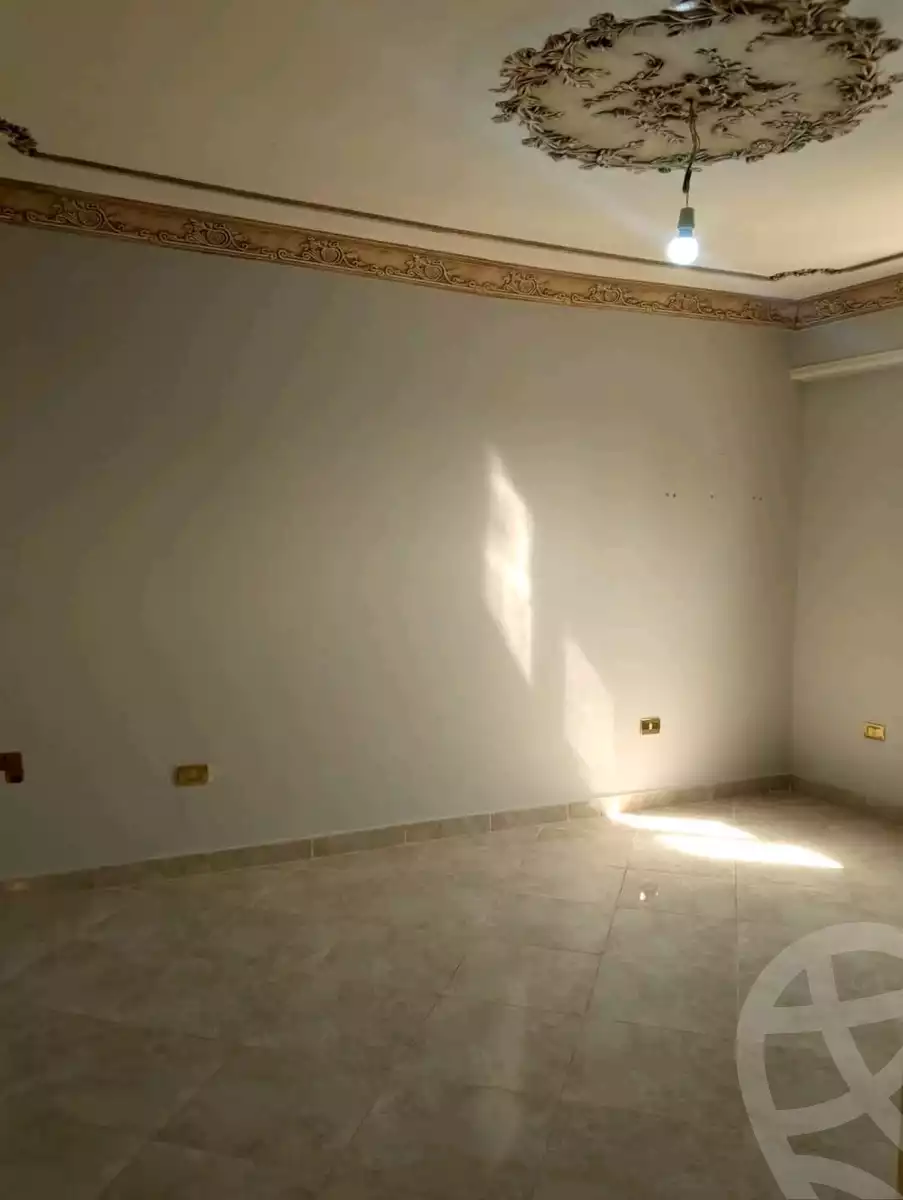 https://aqarmap.com.eg/en/listing/6074879-for-rent-alexandria-l-jmy-lbytsh
