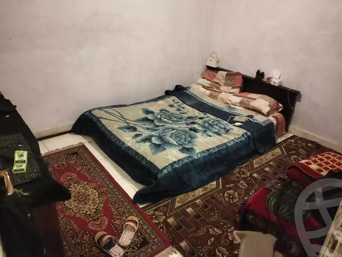 https://aqarmap.com.eg/en/listing/6075205-for-sale-alexandria-lsywf-el-falki