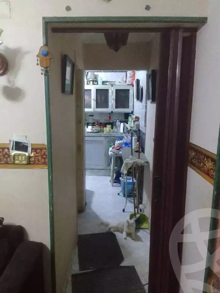 https://aqarmap.com.eg/en/listing/6077290-for-sale-alexandria-l-jmy-el-hanouvel-el-kholafaa-el-rashdeen-st