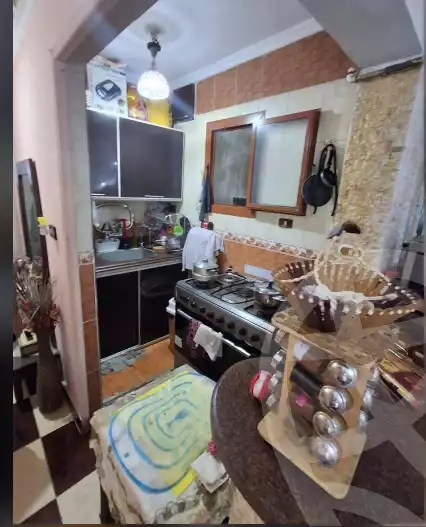 https://aqarmap.com.eg/en/listing/6077422-for-sale-alexandria-l-jmy-lbytsh-al-aeda-al-kadema-st