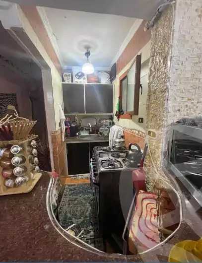 https://aqarmap.com.eg/en/listing/6077422-for-sale-alexandria-l-jmy-lbytsh-al-aeda-al-kadema-st