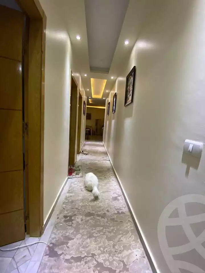 https://aqarmap.com.eg/en/listing/6077754-for-rent-cairo-mokattam-el-hadabah-el-wosta-el-mantaqa-el-olaa
