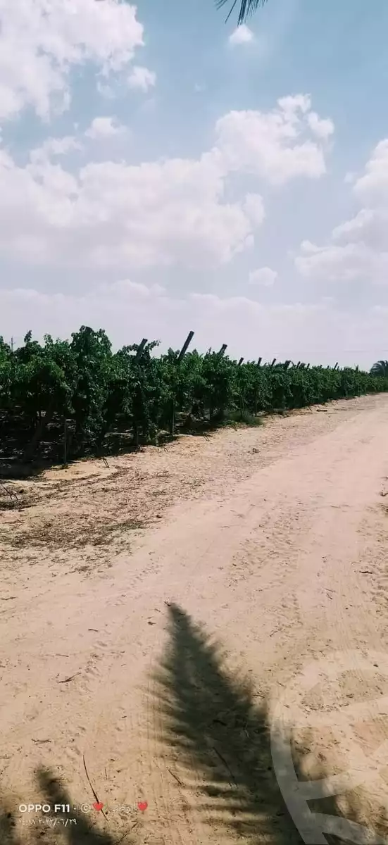 https://aqarmap.com.eg/ar/listing/6080568-for-sale-alexandria-cairo-alexandria-desert-road