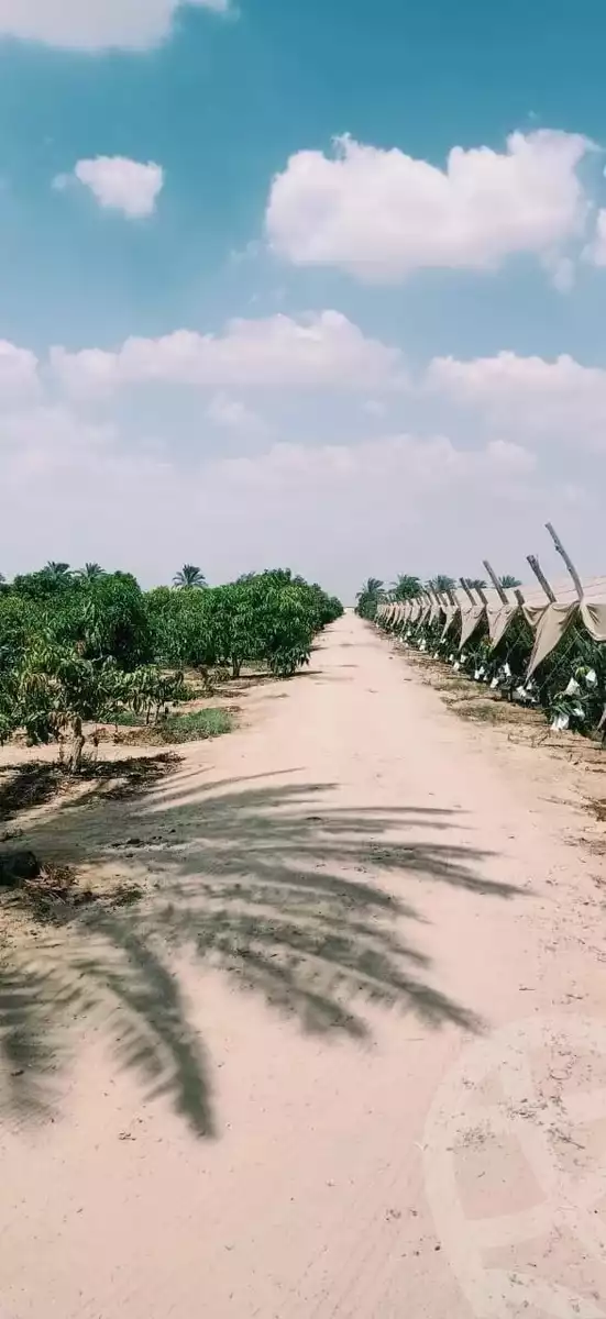 https://aqarmap.com.eg/ar/listing/6080568-for-sale-alexandria-cairo-alexandria-desert-road