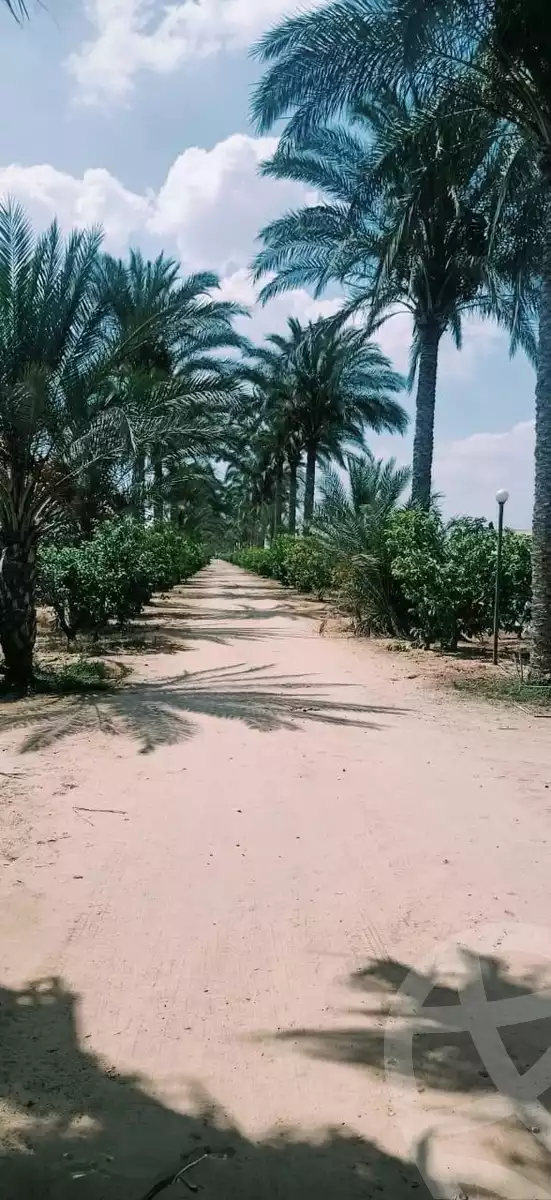 https://aqarmap.com.eg/ar/listing/6080568-for-sale-alexandria-cairo-alexandria-desert-road
