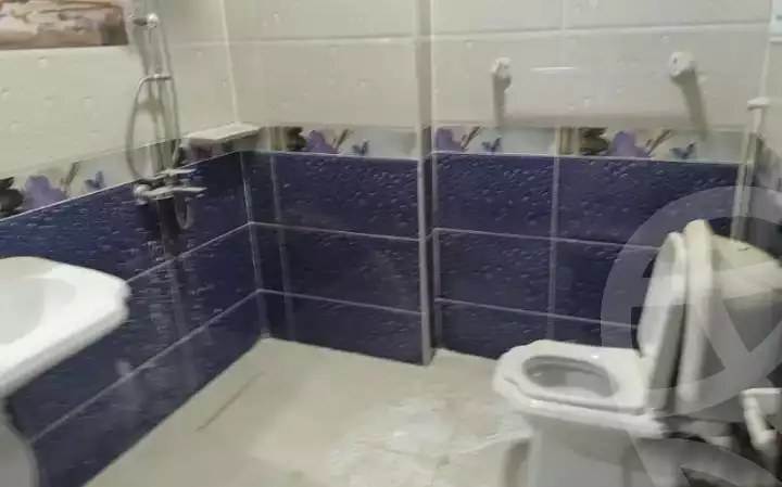 https://aqarmap.com.eg/en/listing/6084466-for-sale-dakahlia-mansoura-mdyn-mbrk