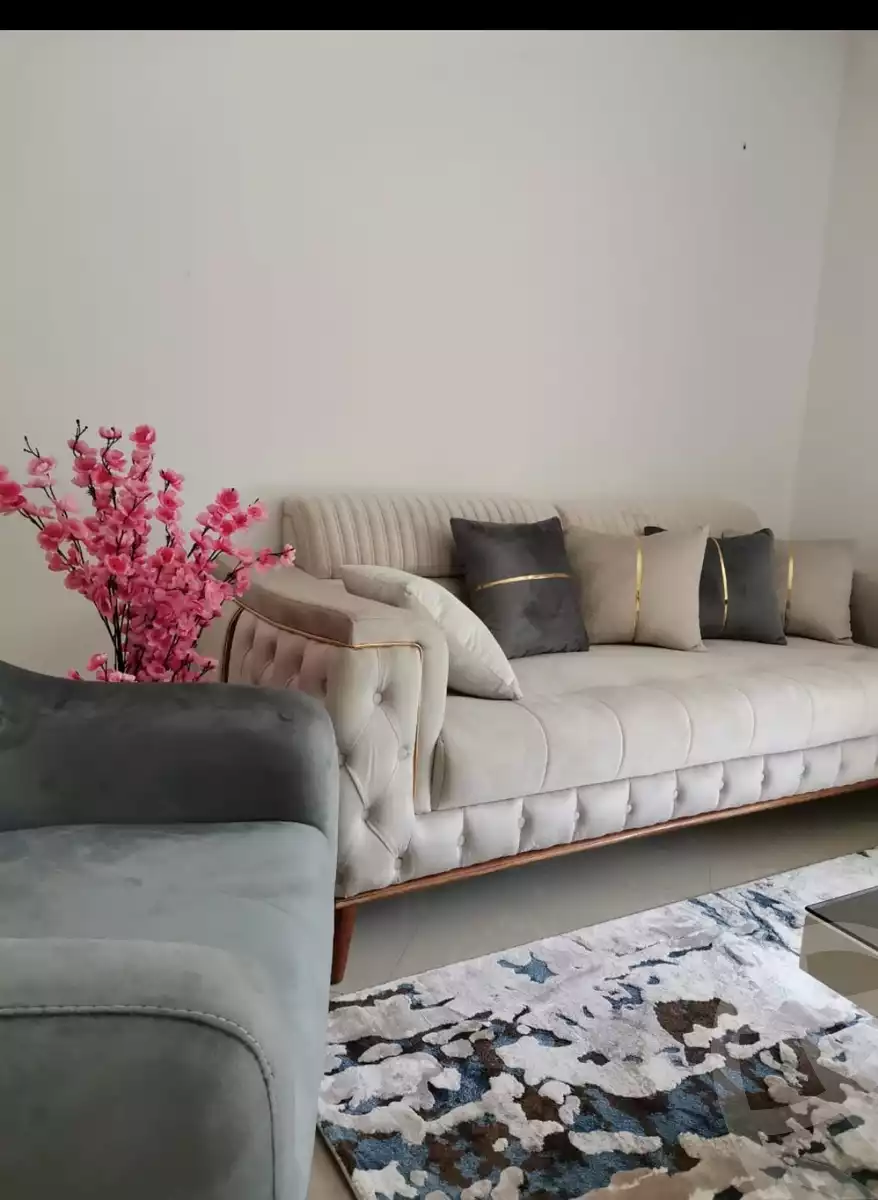 https://aqarmap.com.eg/en/listing/6087224-for-rent-cairo-el-sheikh-zayed-city-compounds-zayed-dunes