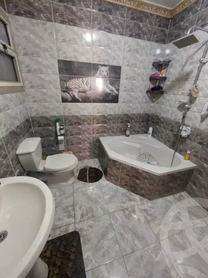 https://aqarmap.com.eg/en/listing/6090823-for-sale-alexandria-l-jmy-lbytsh-shahr-al-assal-st