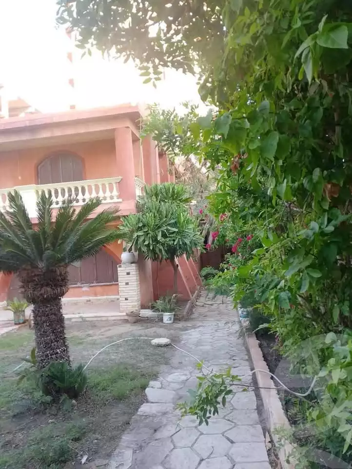 https://aqarmap.com.eg/en/listing/6091454-for-sale-alexandria-l-jmy-bw-ywsf