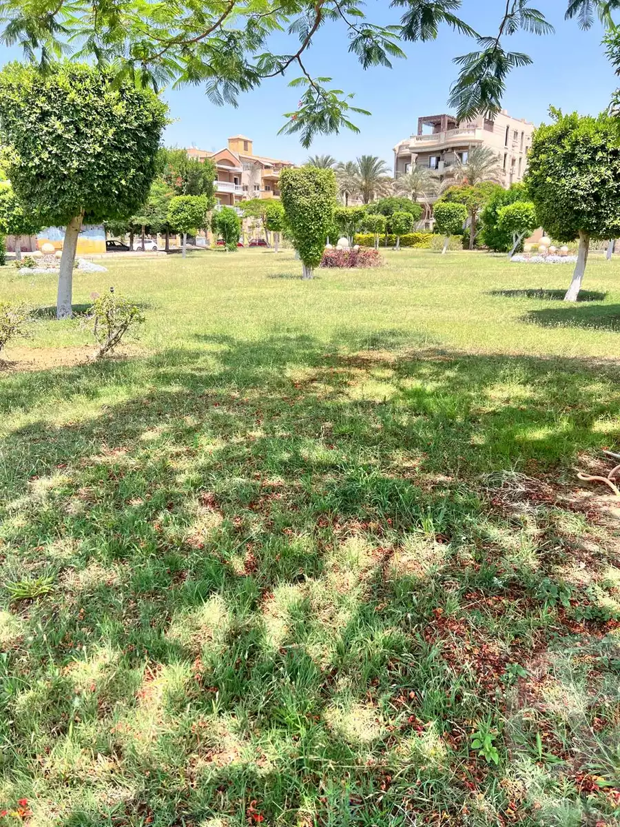 https://aqarmap.com.eg/en/listing/6093344-for-rent-cairo-new-cairo-ganob-el-akadamiya-south-academy-h-el-shaheed-mohamed-zrd-st
