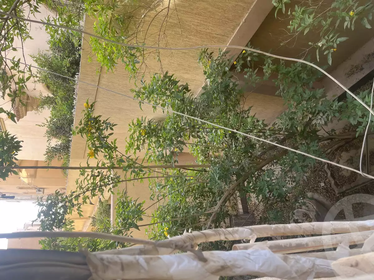 https://aqarmap.com.eg/en/listing/6096735-for-rent-cairo-new-cairo-el-narges-el-narges-3-abd-el-rahman-ouda-st
